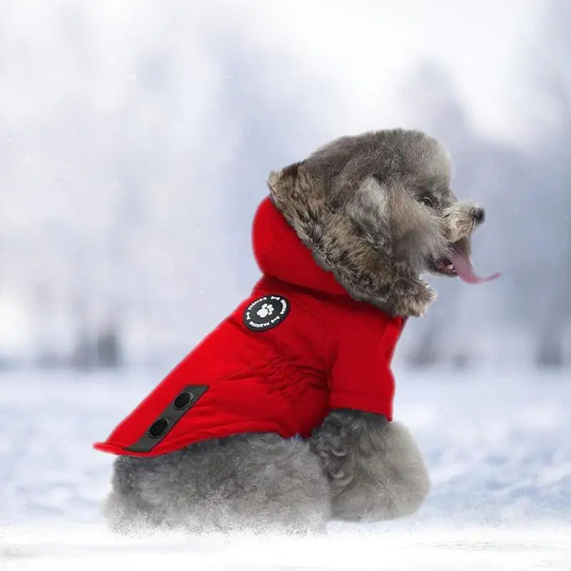 Doudoune à capuche chaude pour petit chien