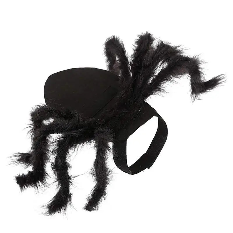 Costume Araignée D'Halloween Chien & Chat