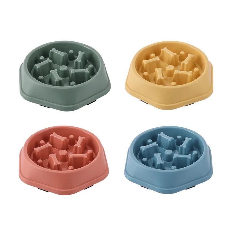 Gamelle Anti-Glouton Chien & Chat