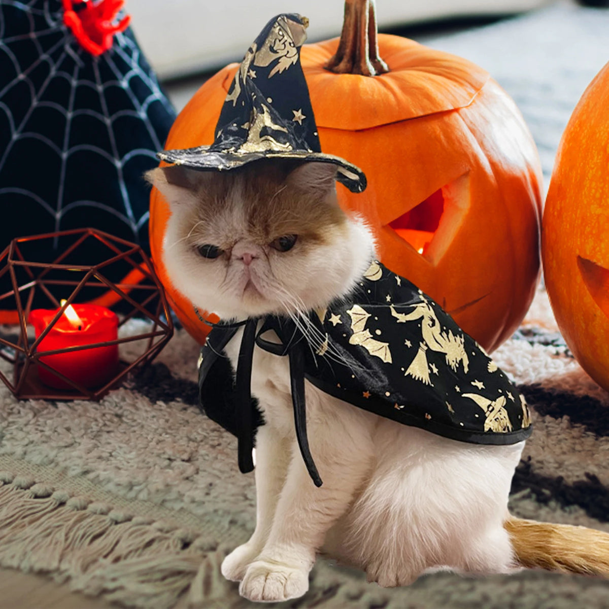 Costume De Magicien D'Halloween (Chapeau + Cape)