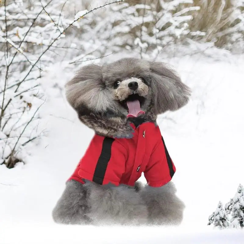 Doudoune À Capuche Chaude Pour Petit Chien