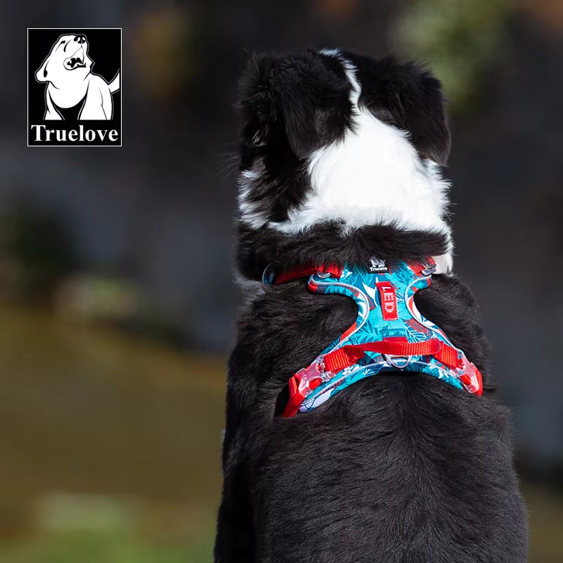Harnais Pour Animaux De Compagnie Petit Moyen Grand Chien Fendu Mode Extérieur Livraison Directe
