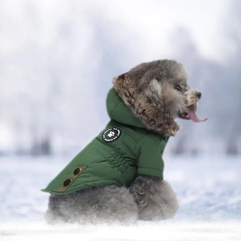 Doudoune À Capuche Chaude Pour Petit Chien