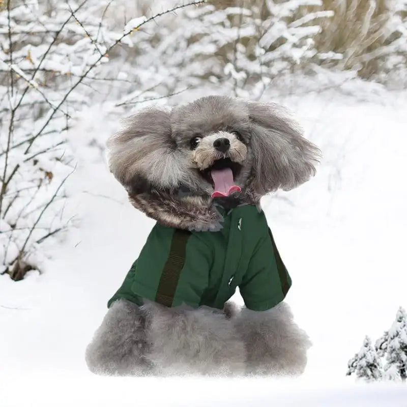 Doudoune À Capuche Chaude Pour Petit Chien