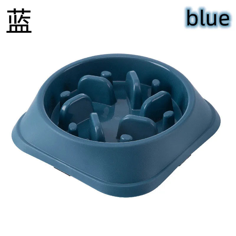 Gamelle Anti-Glouton Chien & Chat