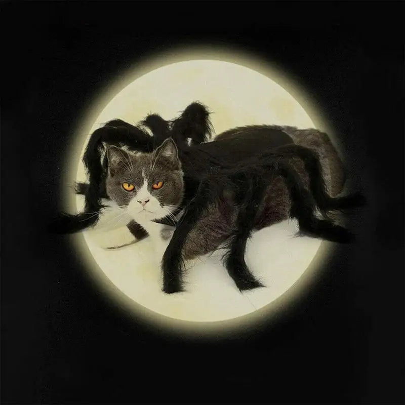 Costume Araignée D'Halloween Chien & Chat