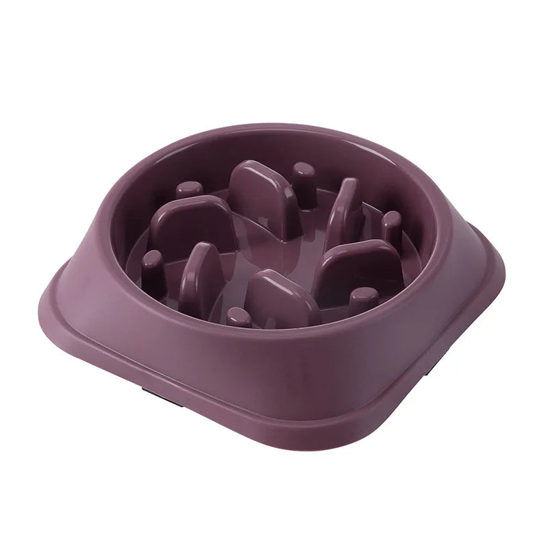 Gamelle Anti-Glouton Chien & Chat