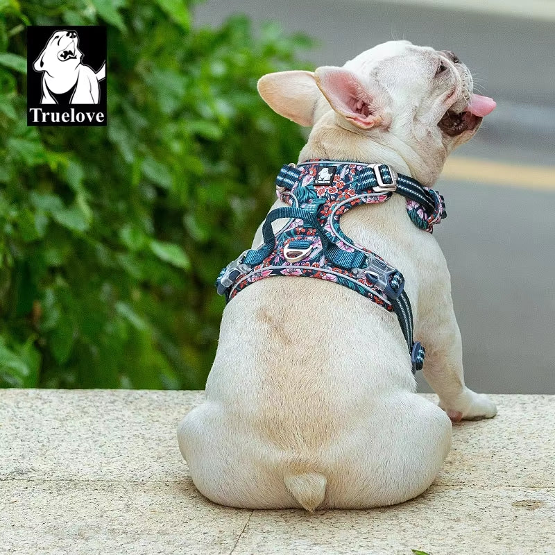 Harnais Pour Animaux De Compagnie Petit Moyen Grand Chien Fendu Mode Extérieur Livraison Directe