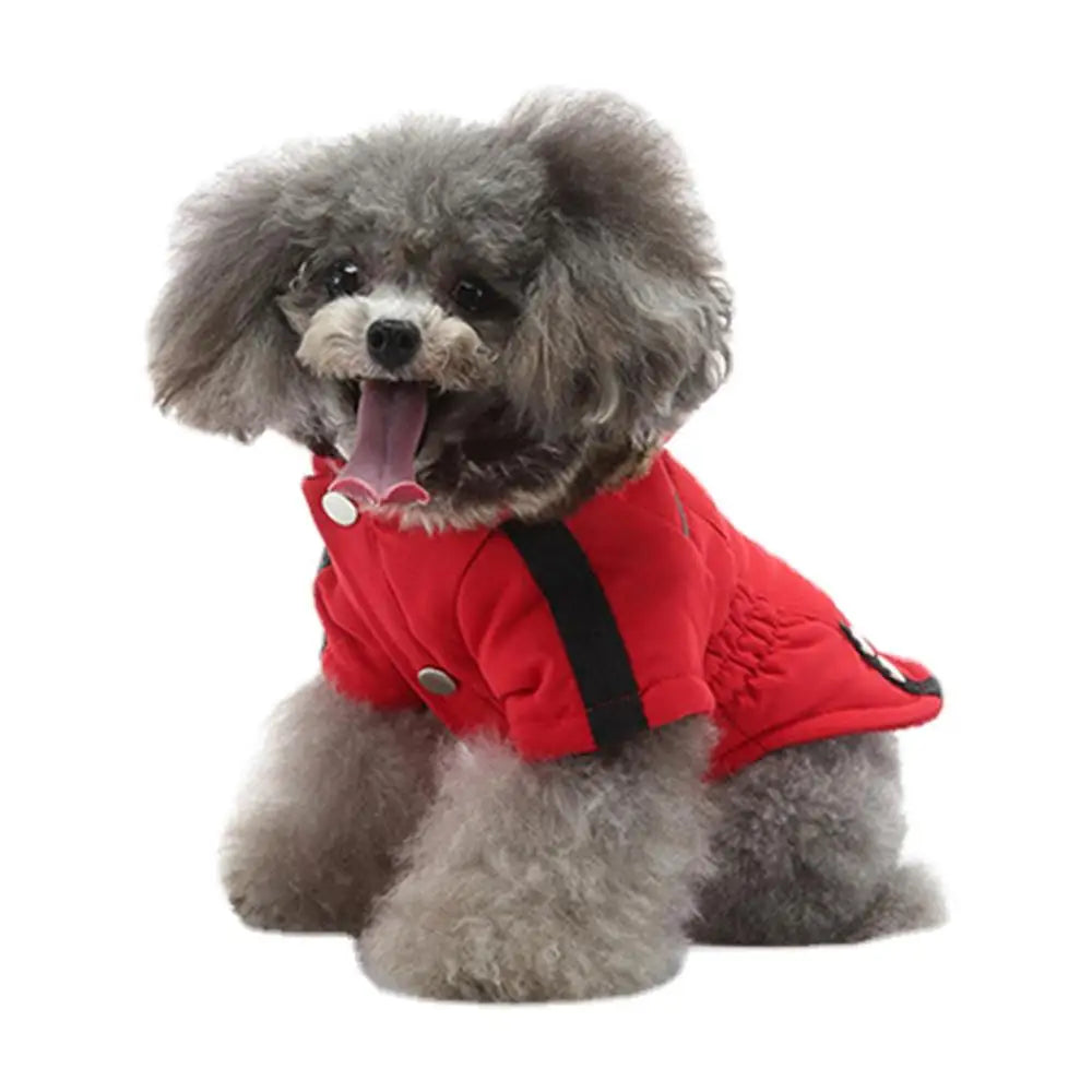 Doudoune À Capuche Chaude Pour Petit Chien