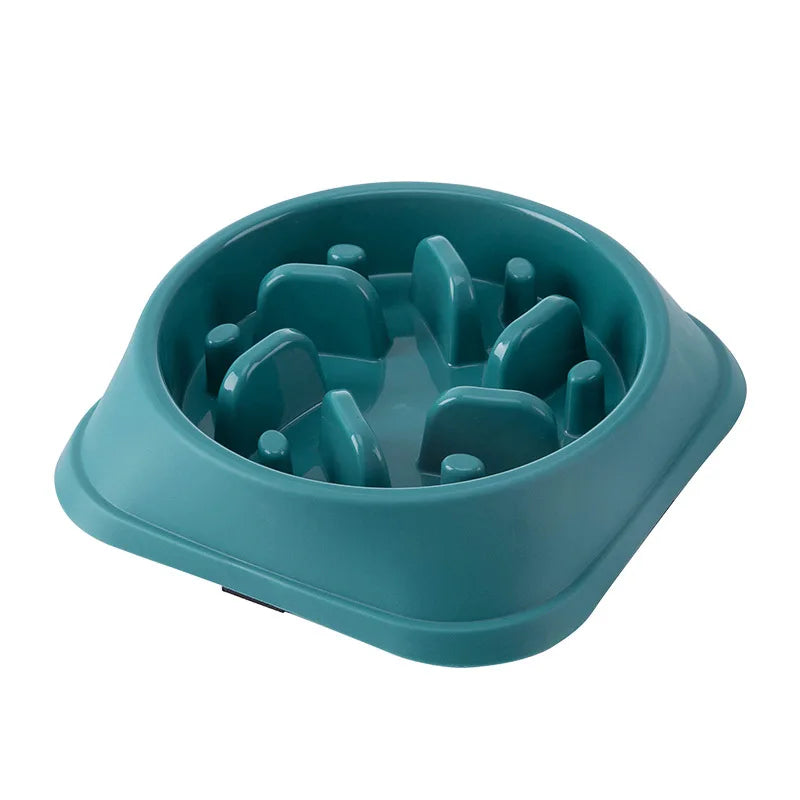 Gamelle Anti-Glouton Chien & Chat