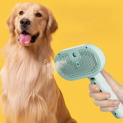 Brosse à brumisation pour chien et chat